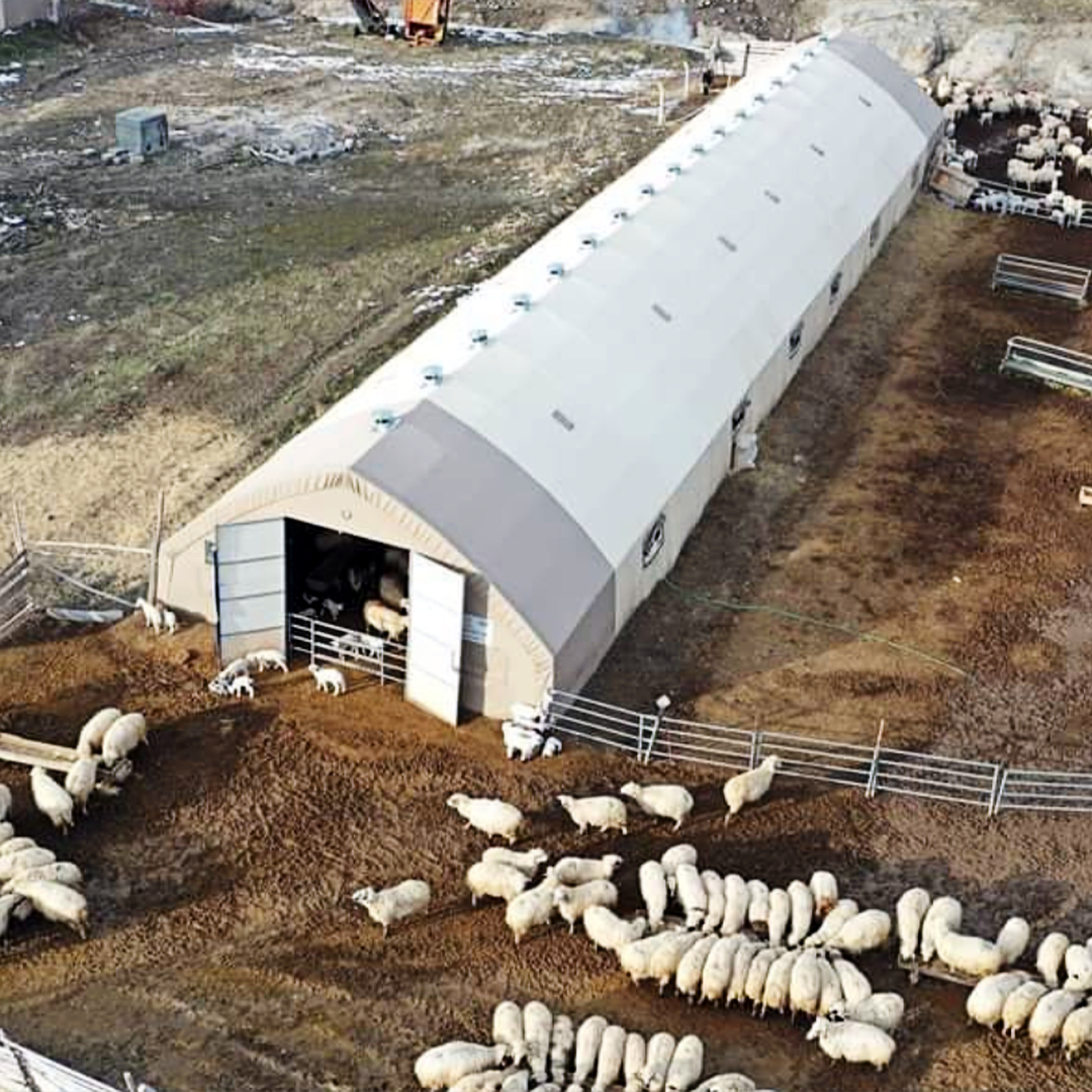 Alles über Hühnerzelt, Weidezelt und Viehzelt in der modernen Landwirtschaft